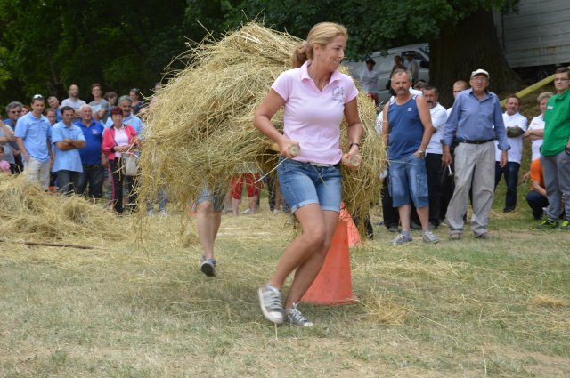 Ügyességi erőbajnokság